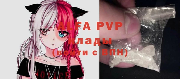 шишки Сатка