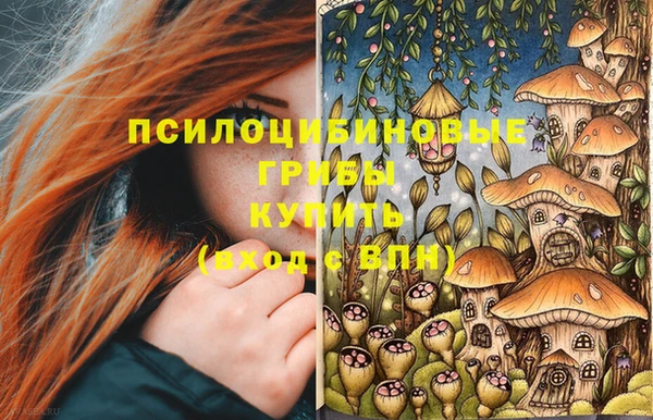 амф Балахна