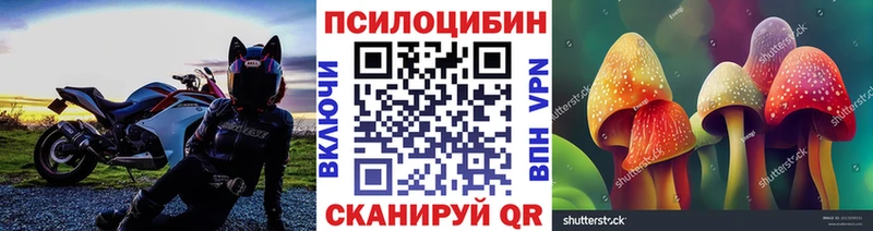 Галлюциногенные грибы Magic Shrooms  Снежногорск 